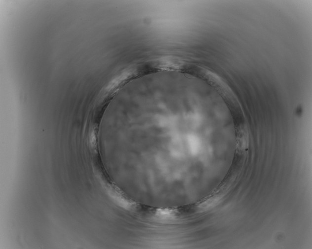 X0000092010573200709131537