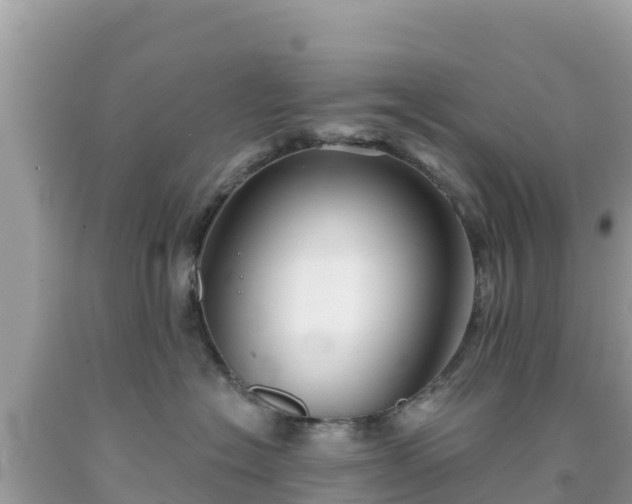 X0000092010574200709131537