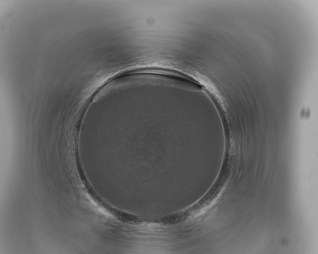 X0000092010577200709131536