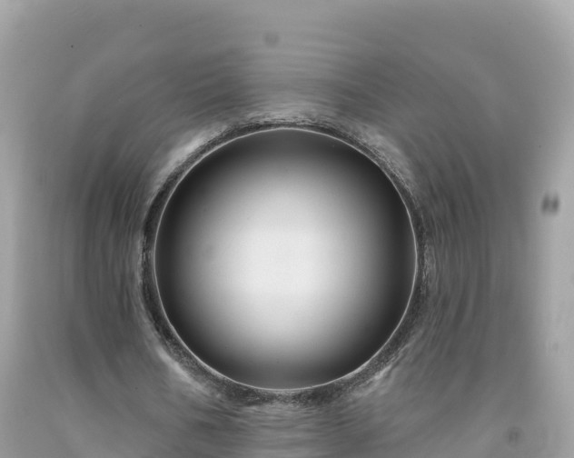 X0000092010578200709131536