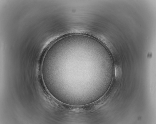 X0000092010579200709131536