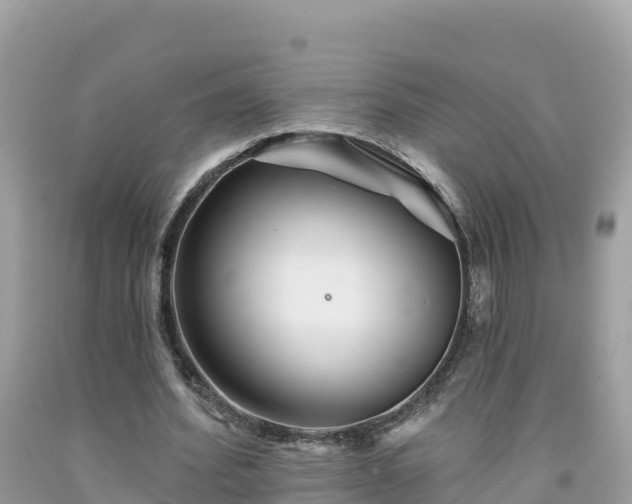 X0000092010580200709131536