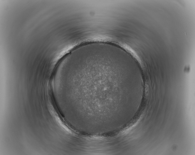 X0000092010581200709131536