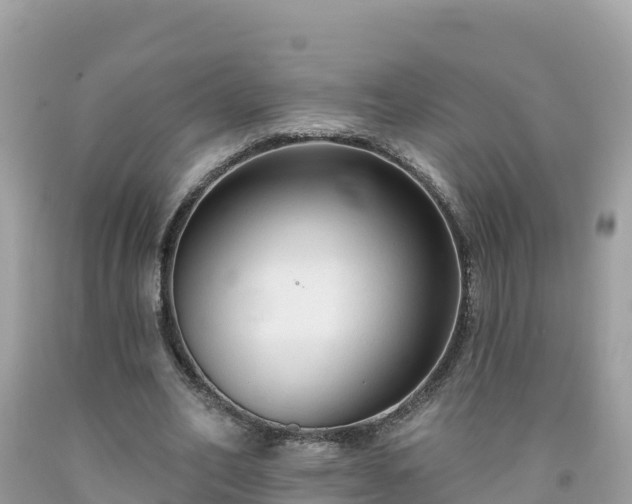 X0000092010582200709131536