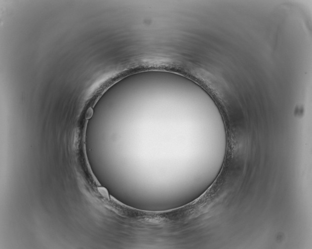 X0000092010583200709131536