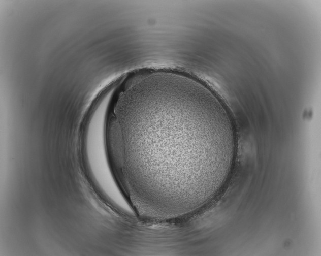 X0000092010584200709131536