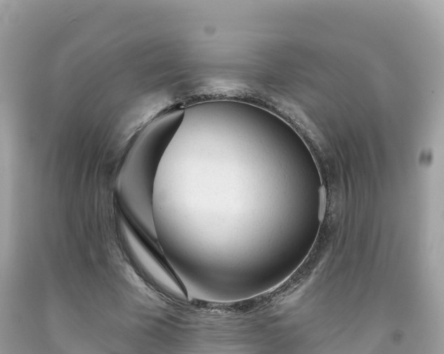 X0000092010585200709131536