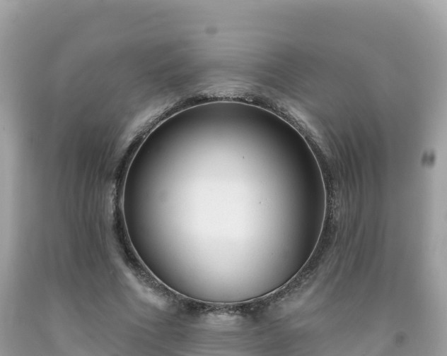 X0000092010586200709131536