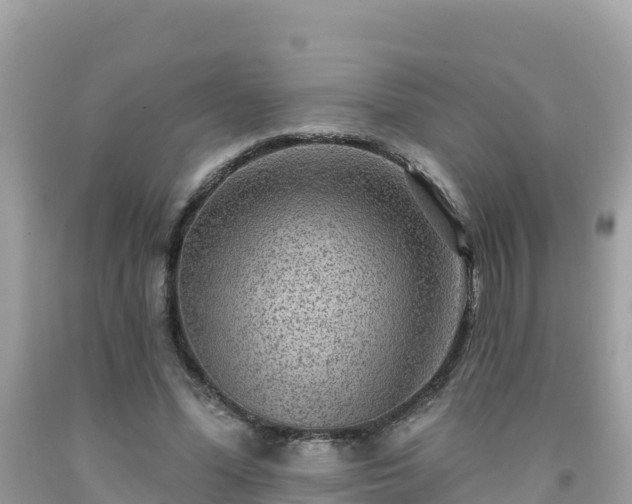 X0000092010588200709131536