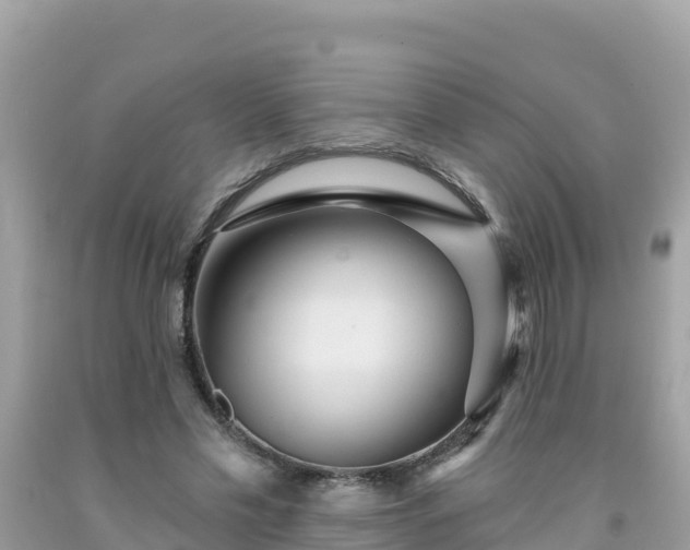 X0000092010589200709131536