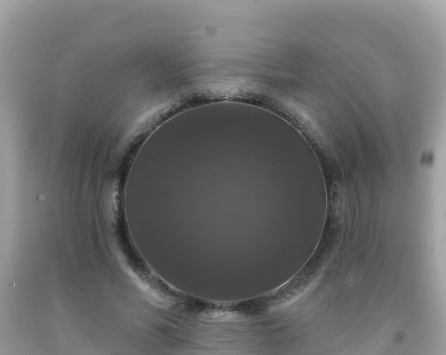 X0000092010590200709131536