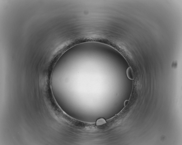 X0000092010591200709131536