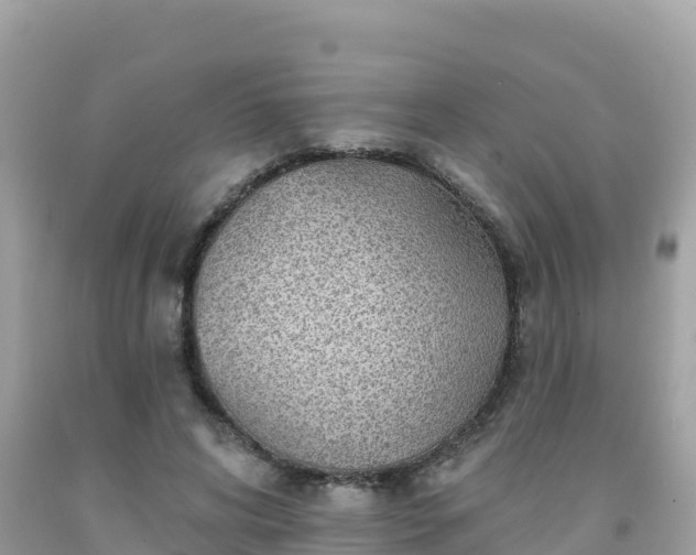 X0000092010592200709131536