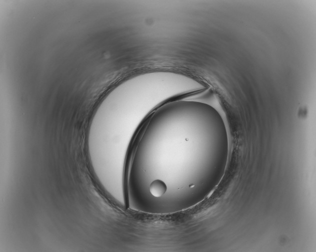 X0000092010593200709131536