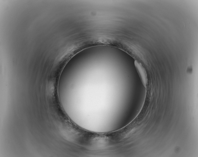 X0000092010595200709131536