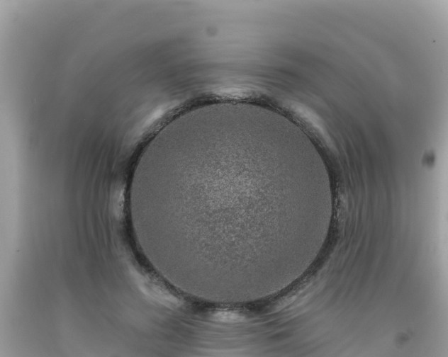 X0000092010596200709131536