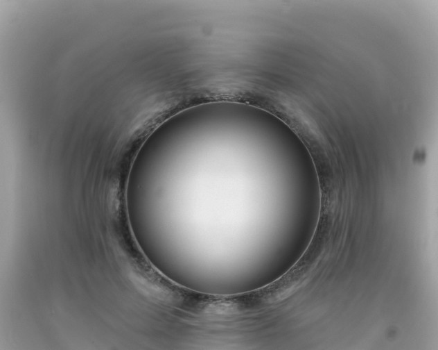 X0000092010599200709131536