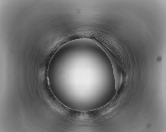X0000092010600200709131536