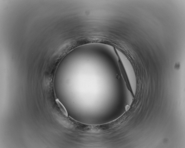 X0000092010601200709131536