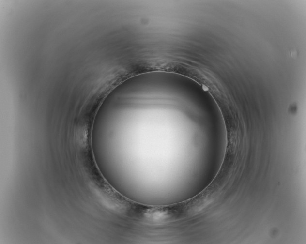 X0000092010602200709131536