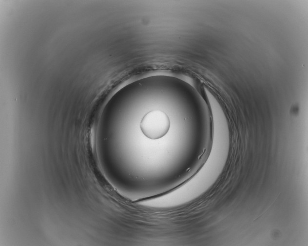 X0000092010604200709131536