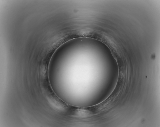X0000092010605200709131536