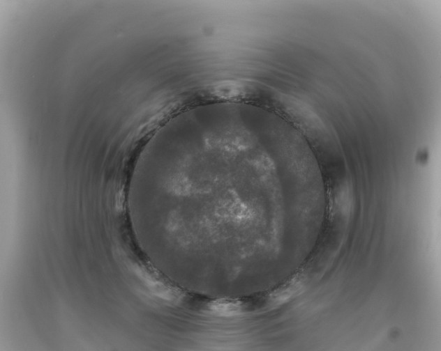 X0000092010606200709131536