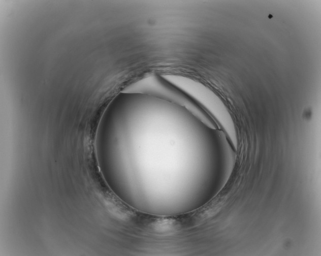 X0000092010609200709131536
