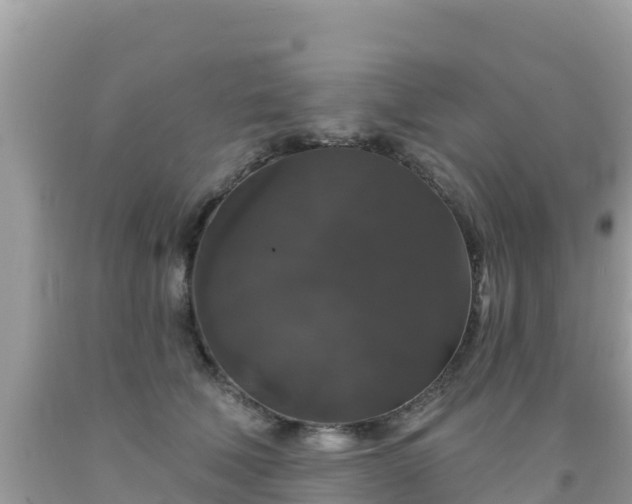 X0000092010610200709131536