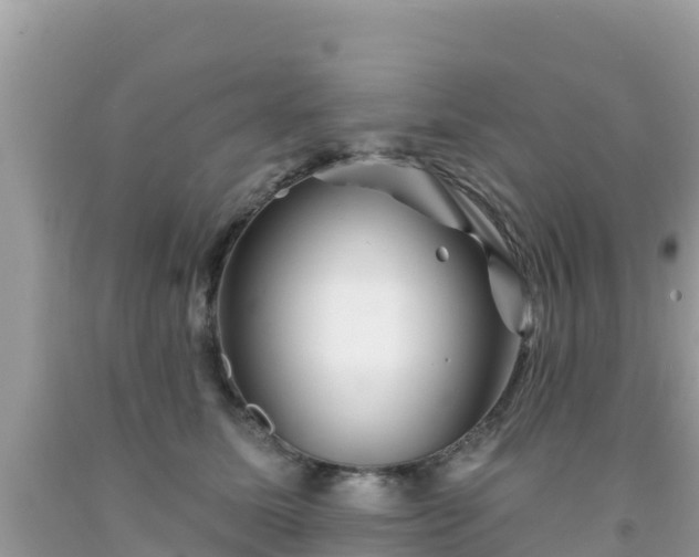 X0000092010611200709131536