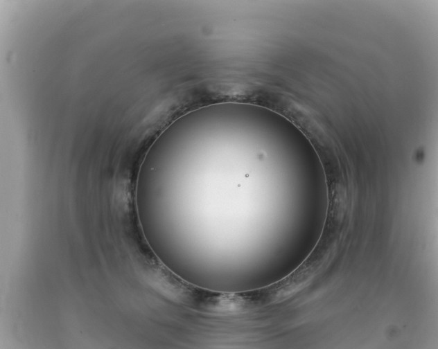 X0000092010612200709131536