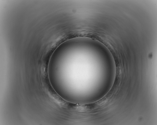 X0000092010615200709131536