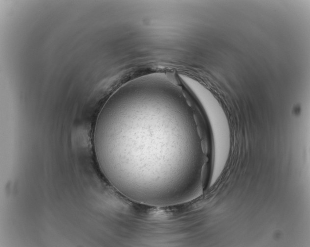 X0000092010616200709131536