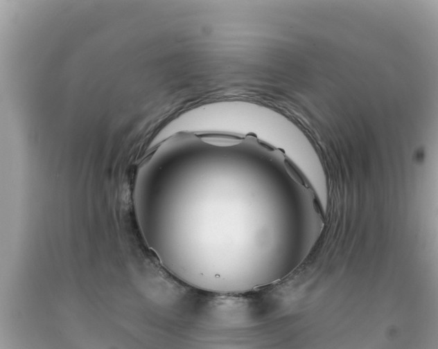 X0000092010617200709131536