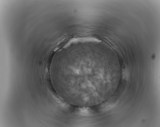 X0000092010618200709131536
