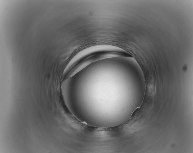 X0000092010620200709131536