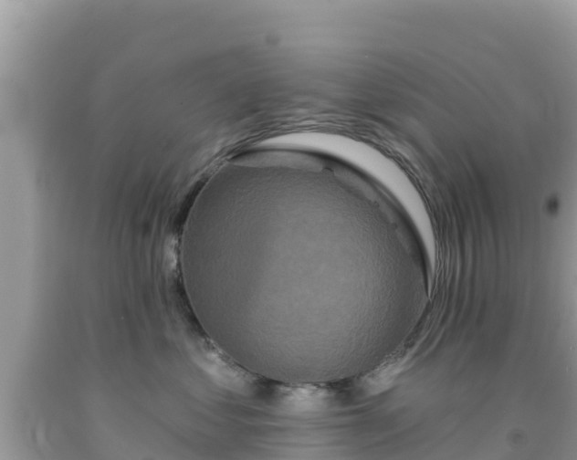 X0000092010621200709131536