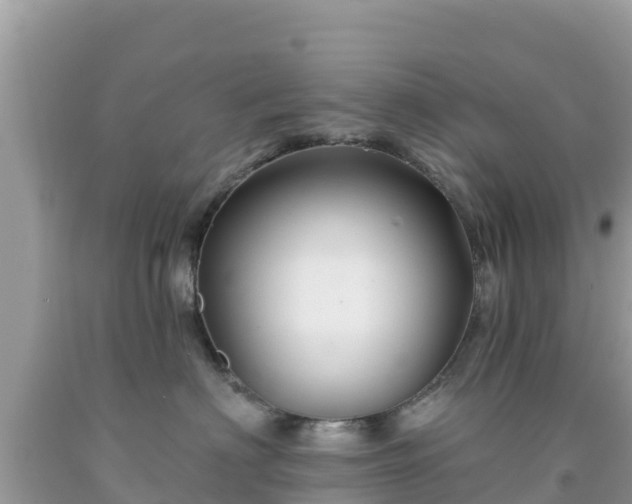X0000092010622200709131536