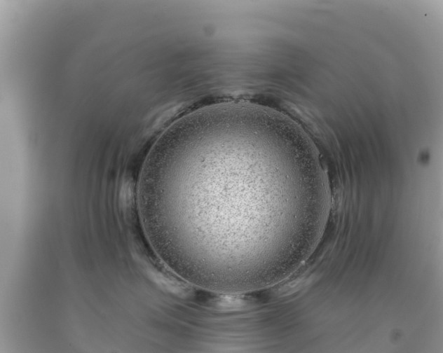 X0000092010623200709131536