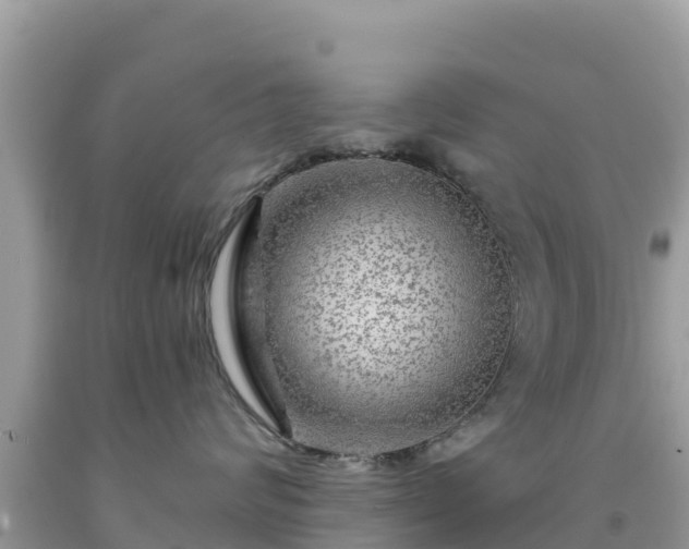 X0000092010624200709131536