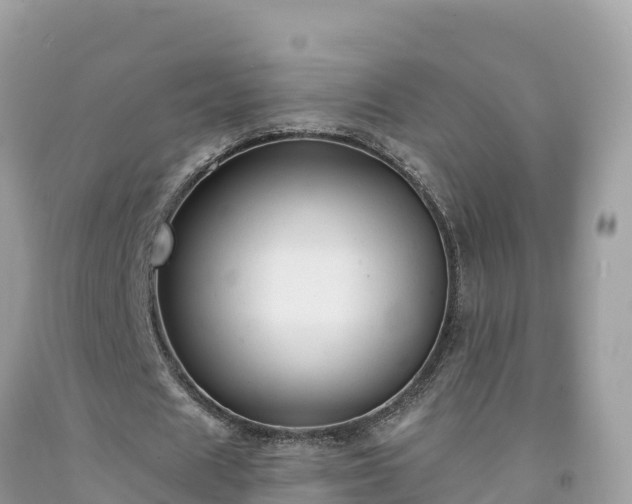 X0000092010625200709131535