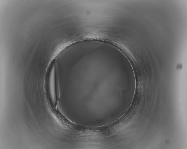 X0000092010626200709131535