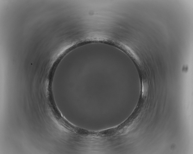 X0000092010627200709131535