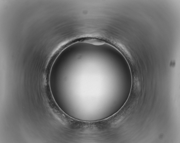 X0000092010628200709131535