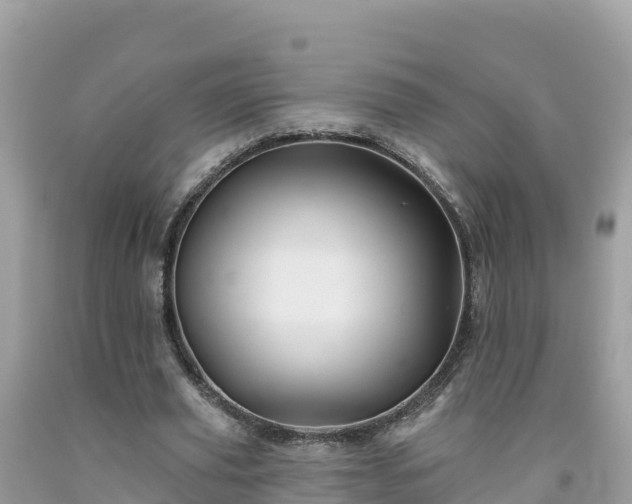 X0000092010629200709131535
