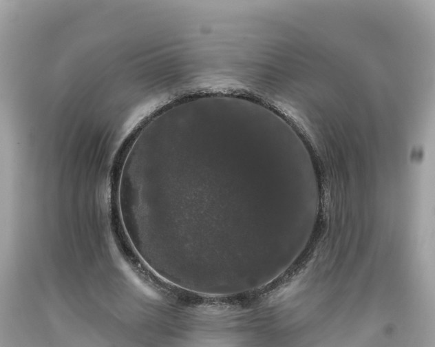 X0000092010630200709131535