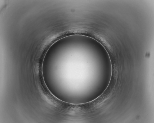 X0000092010631200709131535