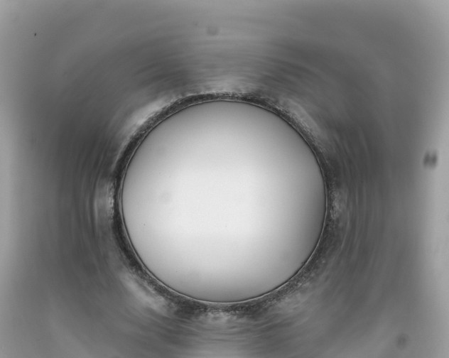 X0000092010632200709131535