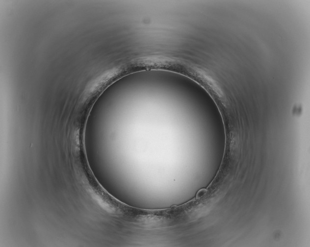 X0000092010633200709131535