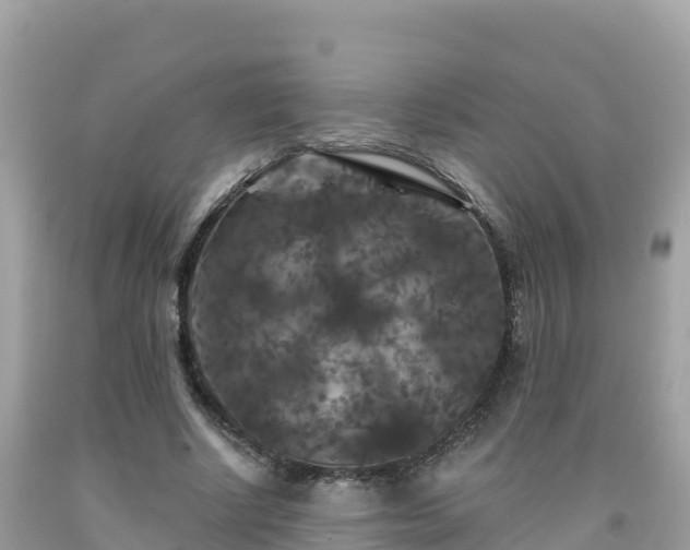 X0000092010634200709131535